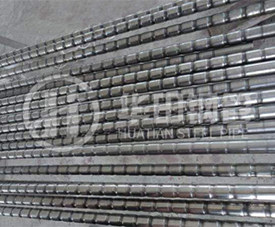 304L不銹鋼波紋管